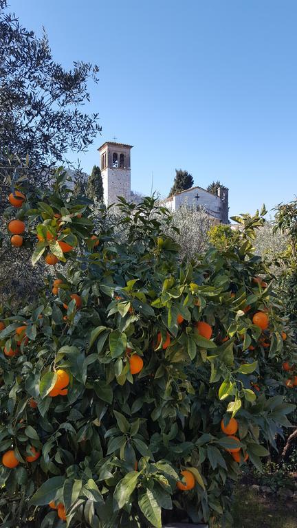 Hébergement de vacances Casolare Al Dopolavoro Lucques